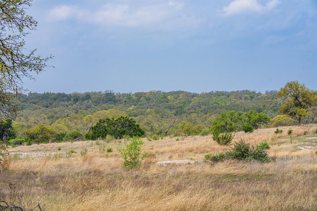 104 Fig Leaf Court 00